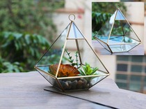 Glass new Jiale greenhouse fleshy micro landscape vase Wedding counter storage display box Home soft decoration decoration