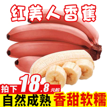 Guangxi Red Beauty Banana Fresh Banana Fruit 5 Jin Seasonal Millet Apple Red Banana Whole Box 3