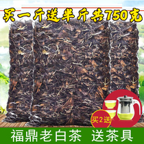 Hair 1 5kg Fuding old white tea shoumei old white tea Sun Gong eyebrow white peony jujube fragrance bulk 750g