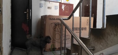 评测点评谈谈欧利华按摩椅好不好，欧利华智能按摩椅评测，他们公司在哪