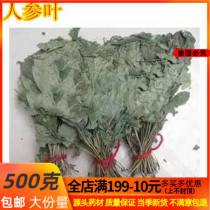 Traditional Chinese Medicine Ginseng Leaf Changbaishan New Product Leaf Green 500g
