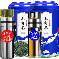 2021 New Tea Maojian Tea Original Original Sprout Green Tea Bulk Green Tea 500g