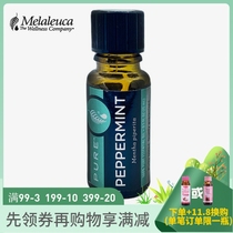 9293 Michele Home Pure Pure Mint Essential Oil 15ml Environmental Protection Supermarket Officer Net
