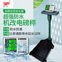 Kaifeng brand stainless steel machine to change the instrument mechanical scale to change the electronic scale 500kg mechanical scale electronic scale head