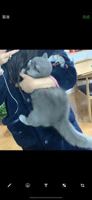 很不错的,值得购买 很不错的,值得购买