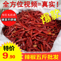 A new generation of chili 500g new products to the pole in the spicy slightly spicy dry pepper seasoning spices dry goods