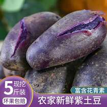 Black leather Purple Heart fresh black Potato Black Diamond Large Potatoes Purple Potato potato 5 catties Single fruit 2 or more