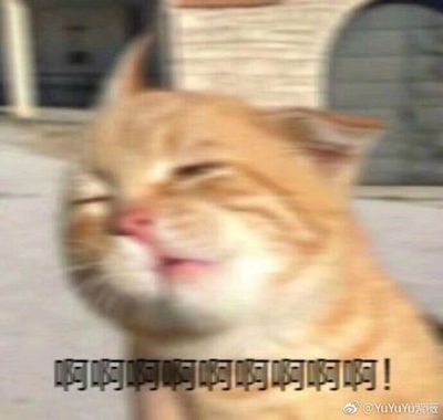 当大家看到我的这一篇评价时，表示我对产品是认可的，尽管我此刻的评论是复制粘贴的。这一方面是为了肯定商家的服务，另一方面是为了节省自己的时间，因为差评我会直接说为什么的。所以大家就当做是产品质量合格的意思来看就行了。最后祝店家越做越好，大家幸福平安，中华民族繁荣昌盛。