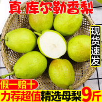 Xinjiang Korla fragrant pear fresh fruit 10kg of seasonal whole box of pregnant women special season pear whole mother pear