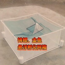 Full frame goldfish brocade carp water flower hatching isolated cage suspended peacock fish leak set to do