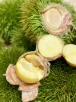 2020 5 catty Chestnut White Leather Fresh Raw Plate Chestnut White Shell Hair Chestnut new stock with gill hairball hair