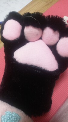 物流超快的！有点掉毛 当兽爪用w