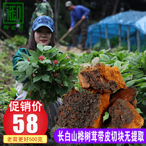 (Changbai Mountain Birch velvet 500g) non-Russian imported Birch Birch Birch betuling betularus betularus