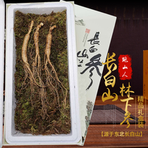 Changbai Mountain Ginseng Northeast Wild Mountain ginseng Fresh ginseng 15-30 years Forest ginseng Moving mountain ginseng brewing wine tonic Gift box