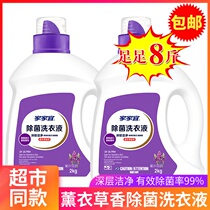 Jiajiayi Clean Deodorant laundry detergent 4kg promotional clothing lavender fragrance hand wash machine wash easy to clean and drift 8kg