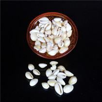 Buddhist offerings Seven precious stones Fine sea shellfish for Buddha Manzha plate Eight precious bottles Tibetan gems large 50g