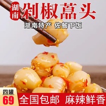 Star Selection Eulogy Hall Eclipse 4 cans of only RMB69 Hunan chopped peppers with a spicy and crisp and crisp and appetizing appetizer