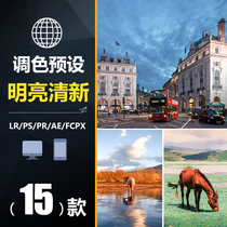 BSH005LR Preset Wedding Portrait with Pat PS Little Fresh Meritocracy FCPX MOBILE PHONE APP FILTER MIRROR PR TONING LUT