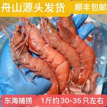 Zhoushan seafood specialty East China Sea sea fishing big red shrimp boat frozen sea shrimp fresh frozen ice shrimp about 30 per pound