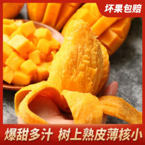 Fresh Small Bench Farmer 10 catty Terrace Mango Season Mango Now Picking Up Fruit Whole Box Green Tropical Busy Fruit When Season