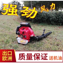 Hair dryer site blowing stone welding slag Back-type high-power Yamaha snow blower Cylinder Komatsu carburetor pull plate