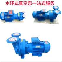2BV pumping water ring stainless steel vacuum pump industrial 3 4 5 5 7 11KW oil-free vacuum pump accessories