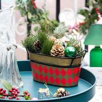 Retro nostalgic potted decorative flower pot Christmas and New Year fleshy green plant flower iron sheet Round Square variety