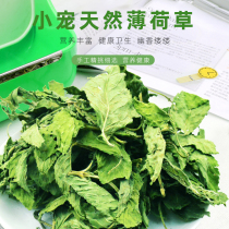 Little pet snack grass peppermint grass 50g rabbit Chinchow pig guinea pig hay pasture