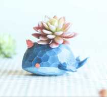 Whale flower pot creative cartoon succulents flower pot personality cute whale micro landscape pot decoration