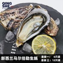 New Zealand airlift Marlborough oysters Fresh non-Girado ready-to-eat sashimi to send oysters to SF Express