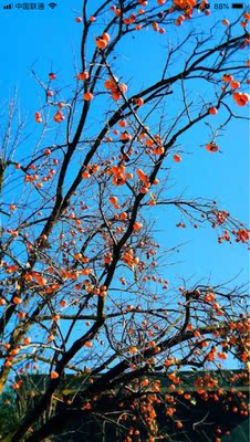 个人戴着感觉戴着有点紧,,质量还行。 个人戴着感觉戴着有点紧,,质量还行。