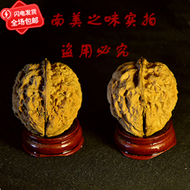 Chongguan new marriage Muyu play Yunnan wild old iron walnut star concave strong chicken heart