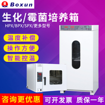 Shanghai Boxun HPX BPX SPX MJX electric constant temperature incubator Biochemical culture mold bacterial culture