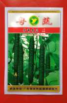 Base special agricultural Research Institute cucumber seeds Yuexiu cucumber seeds (20g)Branch agricultural seed industry tattoo melon seeds