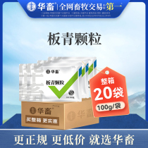 (20 bags in a box) Hua Animal Banqing Granules Veterinary Medicine Banlangen Pig Sheep Chicken Duck Goose Antiviral