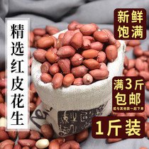 (independent small bag) farmhouse self-produced red leather peanuts 1 catty of four grain red coat peanut kernel without shell 500g