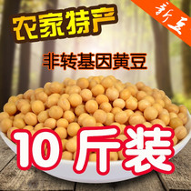 Northeast soybean Heilongjiang farmers self-produced soybean-squeezed soy milk raw bean sprouts non-GM soybeans 10 kilos