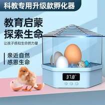 Egg hatcher 1 chicken incubator Small household type childrens hatching machine Water bed mini automatic hatching box