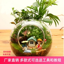 Transparent High Borosilicate double inclined glass bottle creative fleshy landscape bottle micro DIY potted ecological bottle