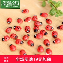 Micro landscape ornaments wooden beetle seven-star Ladybug