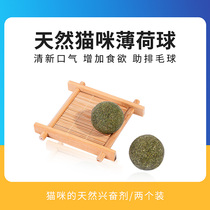 Cat mint ball cat mint ball toy stick candy lick and lick cat kitty grindle teasing cat toy kitty snacks