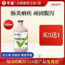 Chinese livestock poplar flower oral liquid beast used for anti-dysentery bulk pig with veterinary medicine rabbit cow sheep chicken duck piglet lasty dysentery