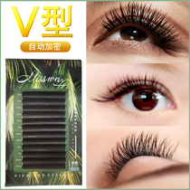 V-shaped eyelash mink hair one second wind blowing automatic encryption magnetic flowering grafting eyelash matte soft natural