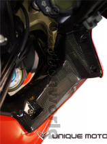 Germany CarbonWorld carbon fiber instrument side trim cover Ducati Ducati MTS1200