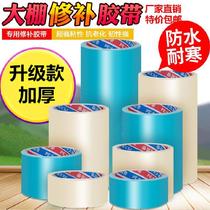 Anti-crack adhesive adhesive TRANSPARENT GLUE RESISTANT WARM TENT BREAKAGE GLUE WATERPROOF GREENHOUSE PLASTIC FILM REPAIR SPECIAL ADHESIVE TAPE GREEN
