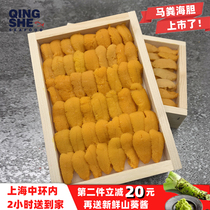 Freshly Peeled horse dung Sea urchin Non-purple gall bladder yellow Live chilled sea urchin meat Ready-to-eat sashimi Japanese raw seafood 100g