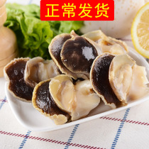 (Regular hair) 3kg of incense snail meat 138 yuan fresh seafood conch meat instant frozen conch meat sashimi snails