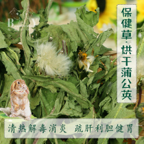Rabbit Health Care Grass Drying Dandelion Treats Cold Enteritis Antibacterial Anti-inflammatory Guinea Fowl Dragon Cat Fever And Detoxifying To Go To Fire
