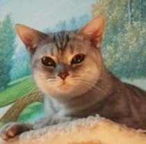 Postage freight freight freight freight freight freight freight