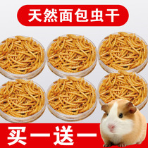 Buy one Get one free bread worm Dry hamster snack Yellow mealworm Fruit and vegetable Hamster turtle food supplies Hamster food items